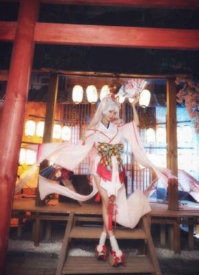 茶杯狐 cupfox -